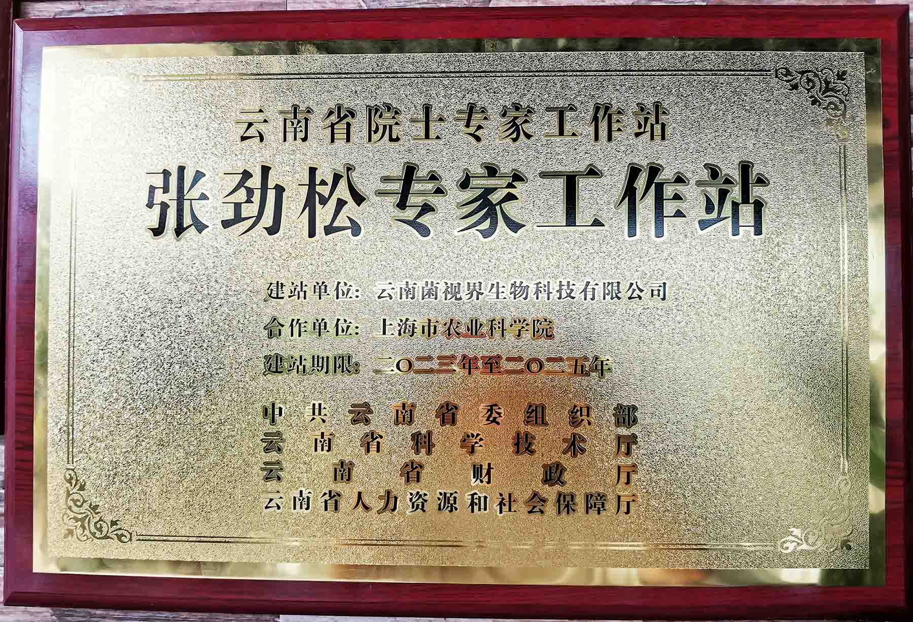 447y44.jpg